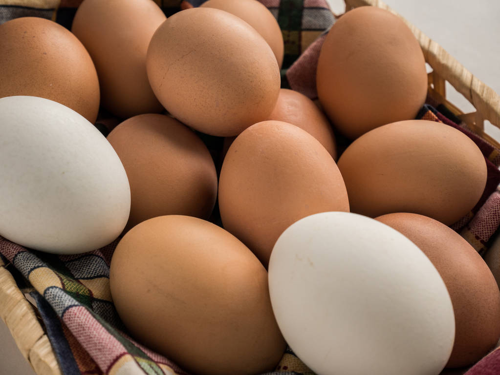 饲料价格重心上移 预计鸡蛋期价下行空间有限