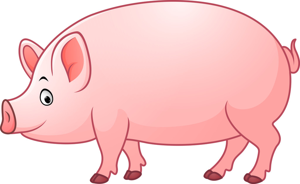 市场大体重猪源紧张 近月合约猪价反弹