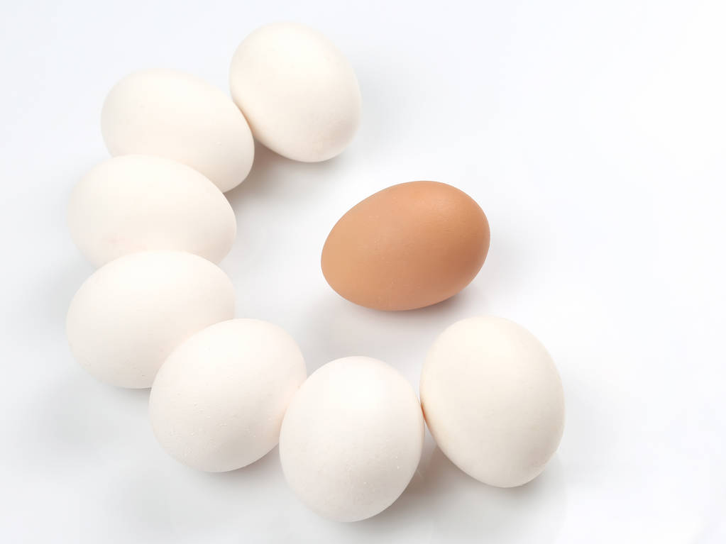 供强需弱的基本面暂未改变 鸡蛋中长期仍偏空看待