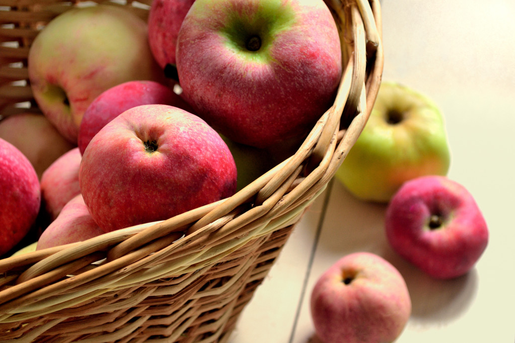 持续推动力仍不足 苹果短期或继续震荡偏弱