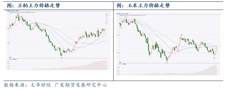 “火箭蛋”的背后是趋势的反转吗？