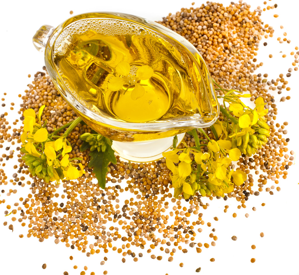 供需基本面逐渐偏向利多 菜籽粕短期或将震荡偏强