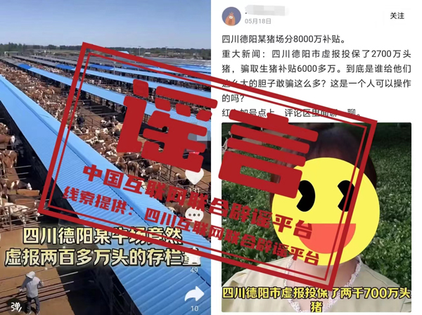 （2024年6月12日）今日辟谣：广西南宁市赛龙舟翻船致人员伤亡？