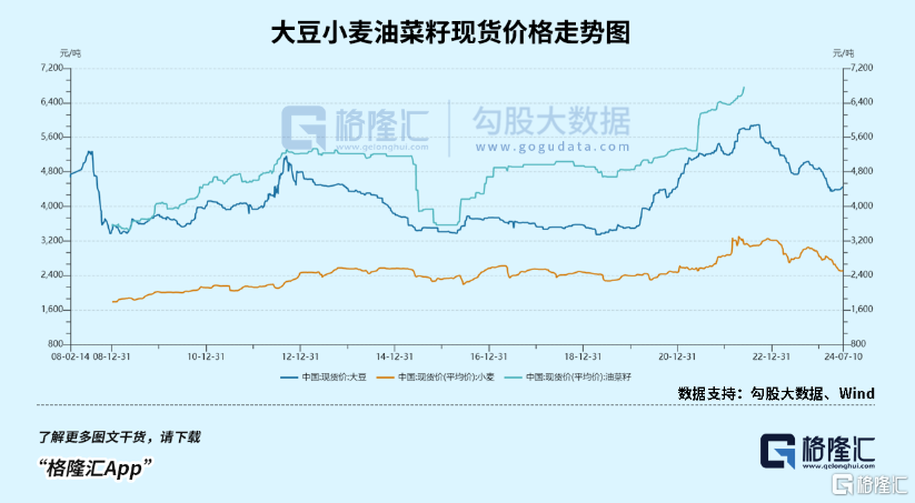 金龙鱼坐上火山口