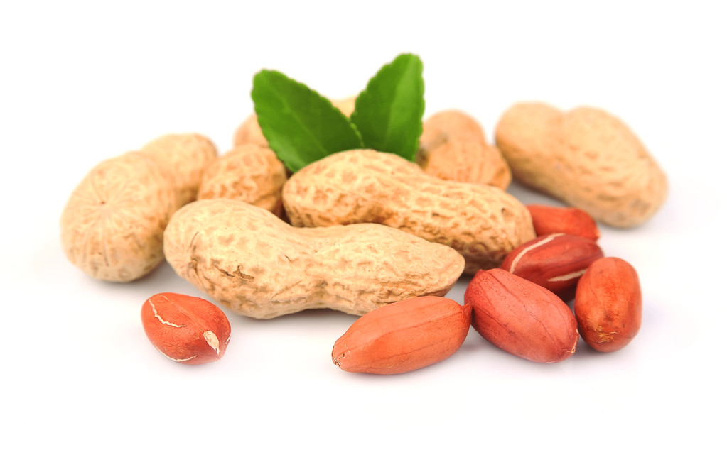 现货市场入市信心不足 预计花生持续上行空间受限