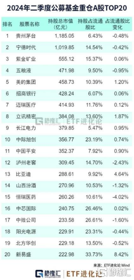 二季度，基金大佬暴买的大黑马