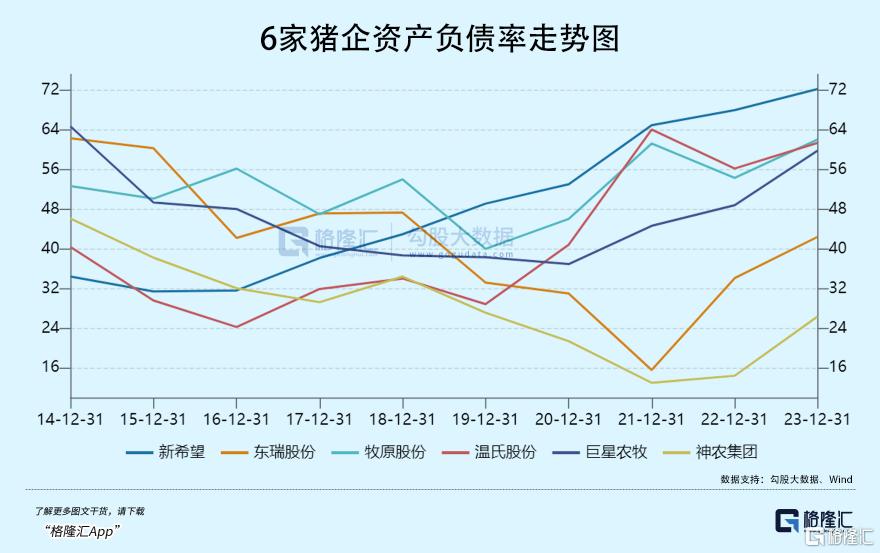 一家黑马猪企的滑铁卢