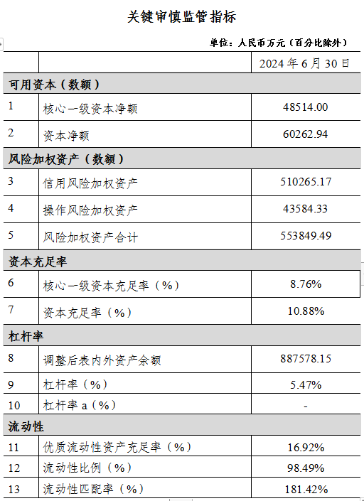 广西桂平桂银村镇银行2024年上半年第三支柱信息披露报告