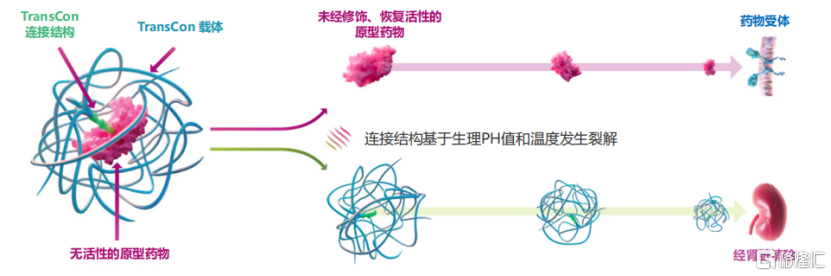 药茅迎来强劲对手，维昇药业的确定性到底有多强？