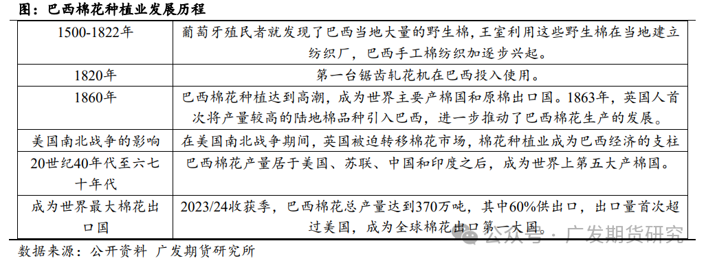 巴西棉业：崛起之路