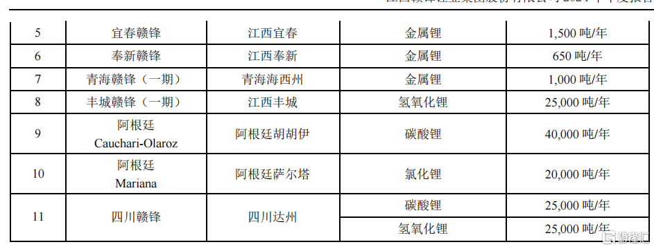 上市后首亏!赣锋锂业2024年亏损超20亿,锂价暴跌成致命伤