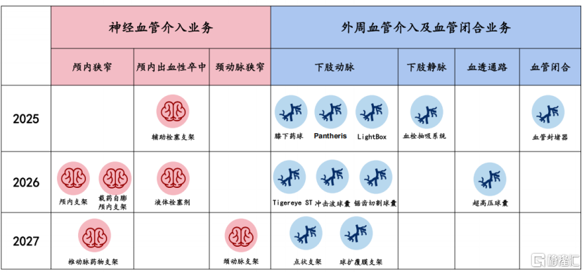 归创通桥-B(2190.HK)：净利润破亿，血管介入龙头迎新阶段