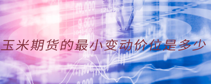 玉米期货入门基础知识新手指南