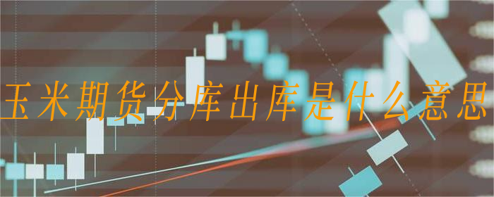 玉米期货分库出库的含义及操作指南