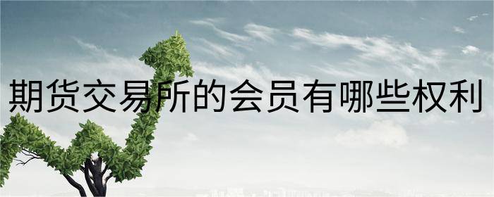 期货交易所的会员有哪些权利