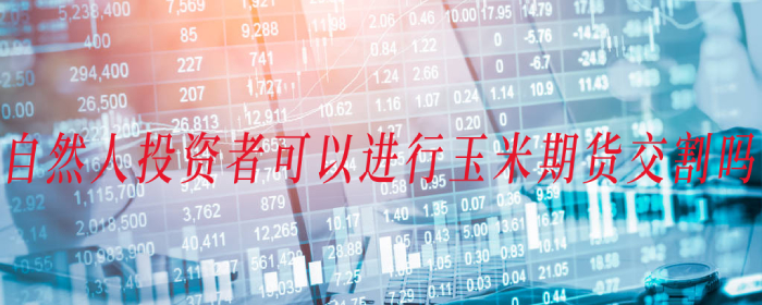 自然人投资者可以进行玉米期货交割吗