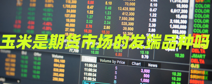 玉米：期货市场的起源品种探究