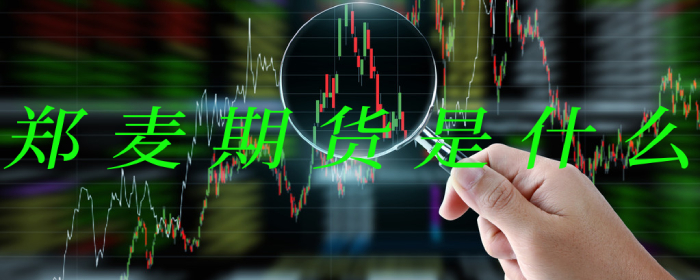 郑麦期货是什么