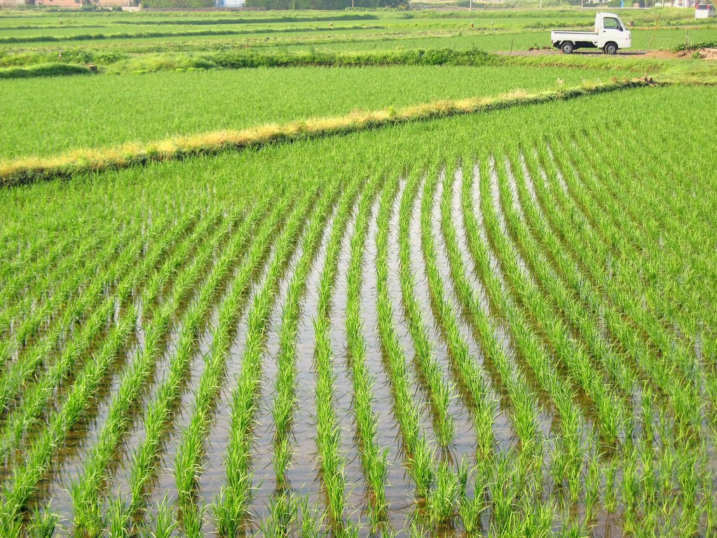 梅雨“鎖”江南 季風(fēng)雨季卻在助力印度經(jīng)濟增長