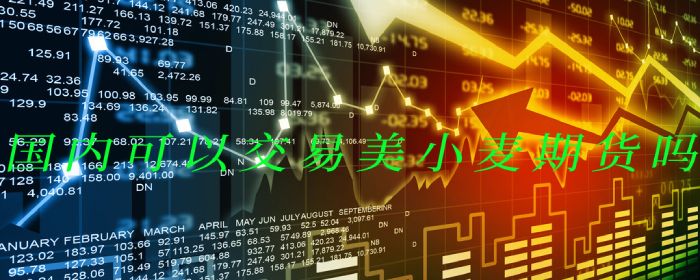 国内可以交易美小麦期货吗？专业解读来了
