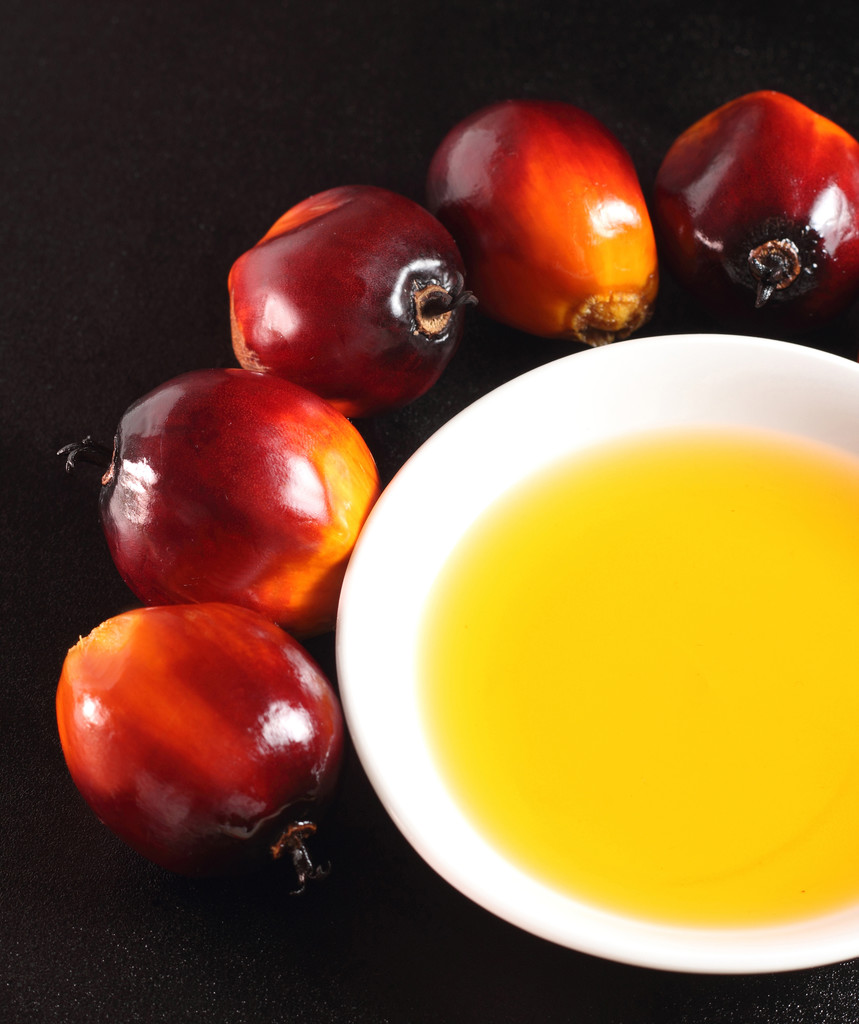 美生柴政策大幅好于预期 棕榈油期价仍维持强势