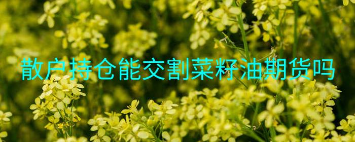 散户能否参与菜籽油期货交割？详解持仓与交割规则