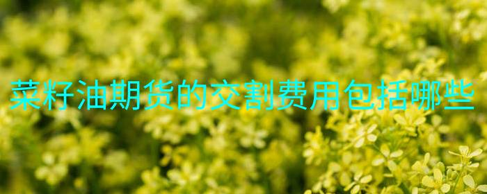 菜籽油期货交割费用包含哪些内容？