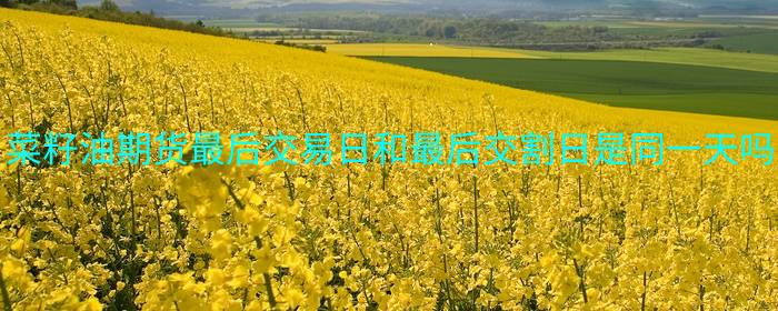 菜籽油期货最后交易日和最后交割日是同一天吗