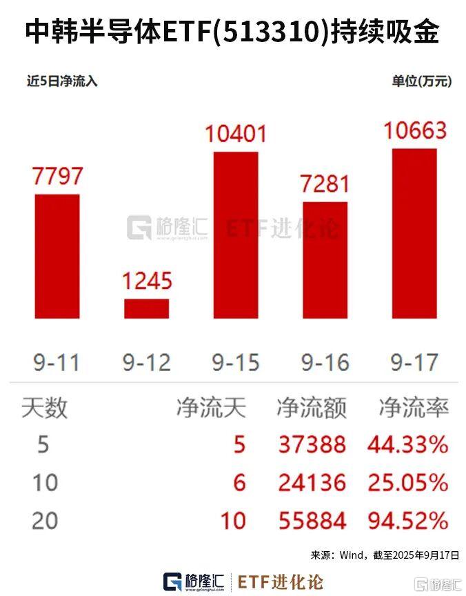 罕见！越涨越吸金