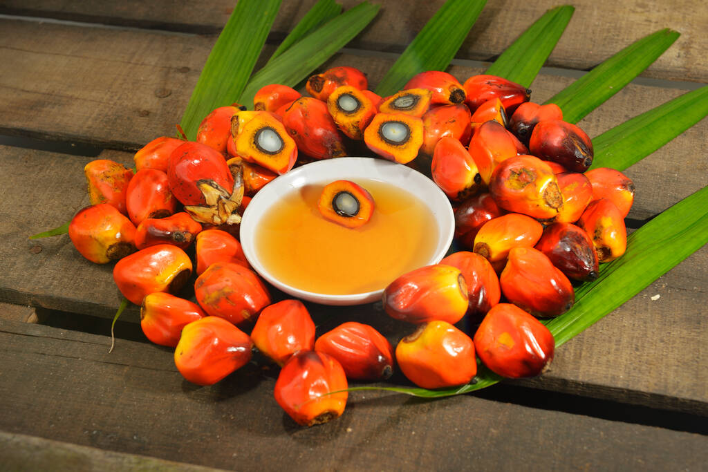 市场情绪偏弱 预计棕榈油短期震荡调整运行