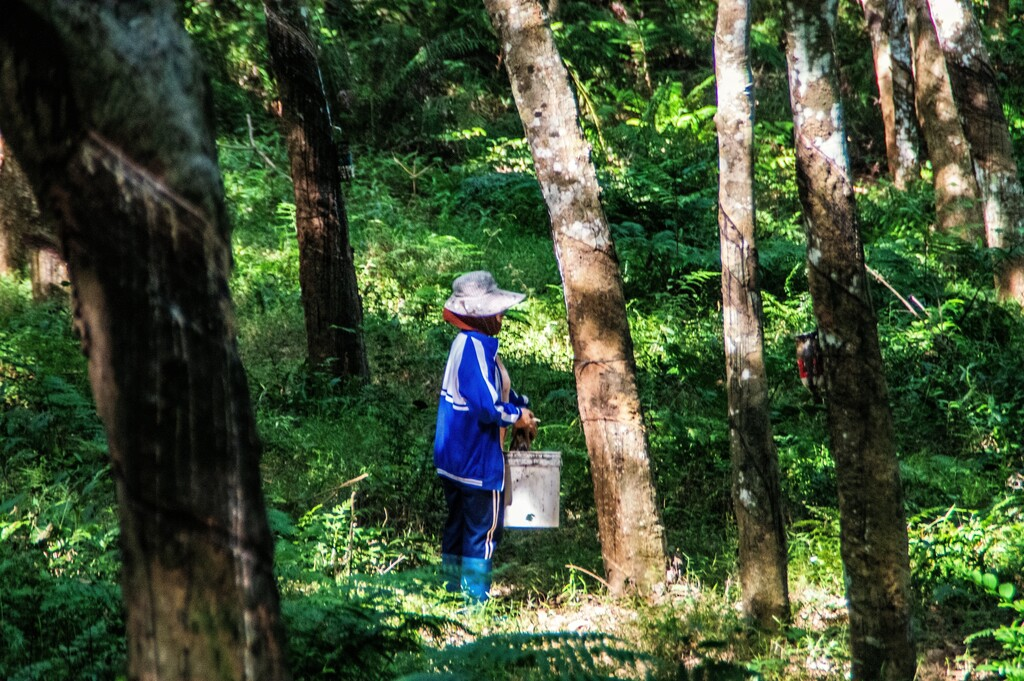 特朗普關(guān)稅砍向盟友 加拿大數(shù)萬崗位危矣