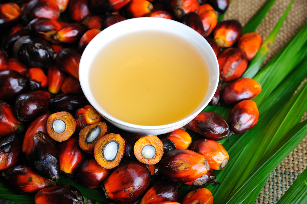 库存压力得到缓解 棕榈油短期或震荡偏强运行