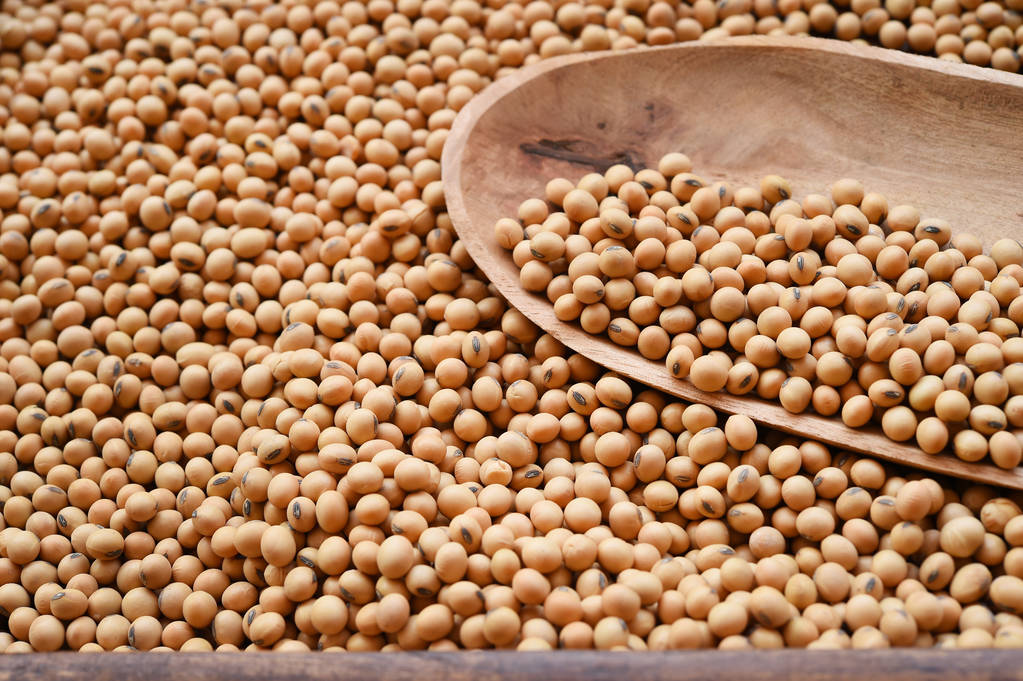 大豆增产预期压制盘面预期 豆二价格偏弱运行