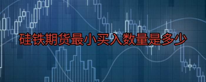 硅铁期货最小交易单位是多少？新手必看的交易知识