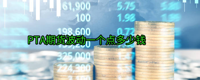 PTA期货每波动一个点是多少？详细解读价格变化影响