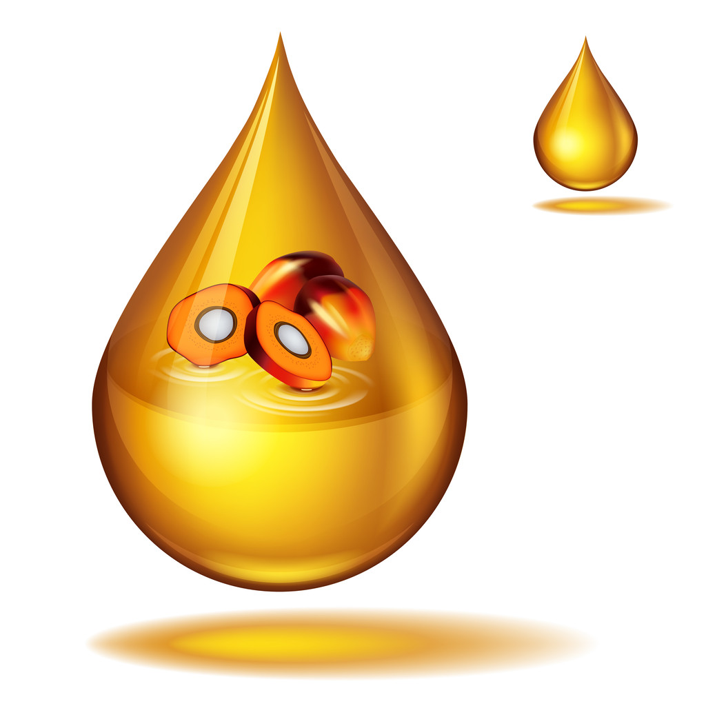 短期供应扰动仍在 棕榈油期价上方压力延续