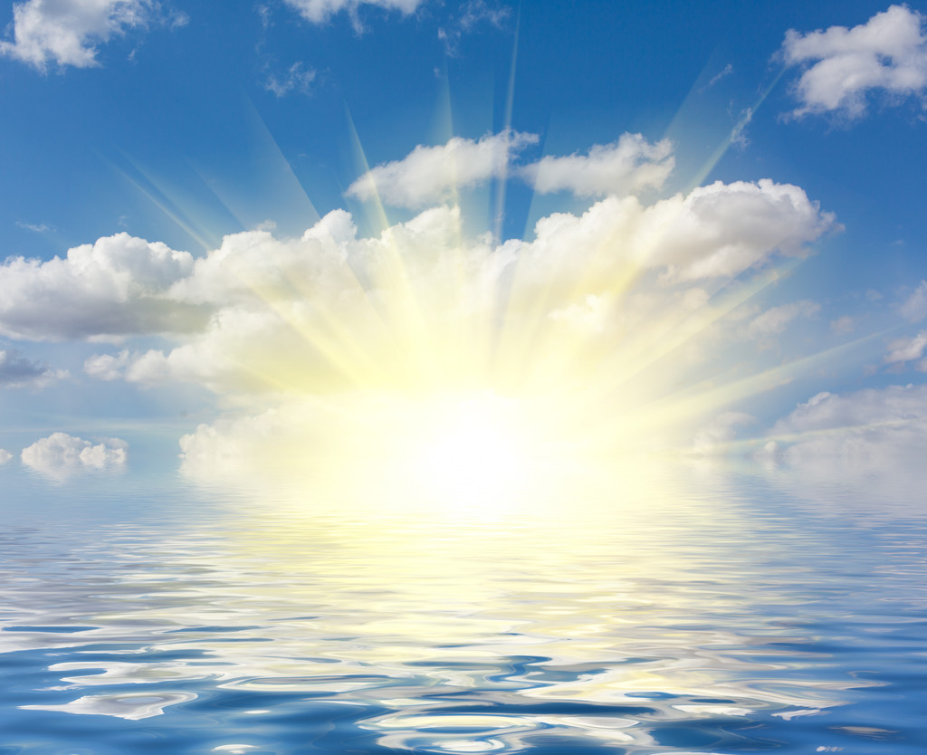 生物质能发电概念板块异动上行 伟明环保涨超4%