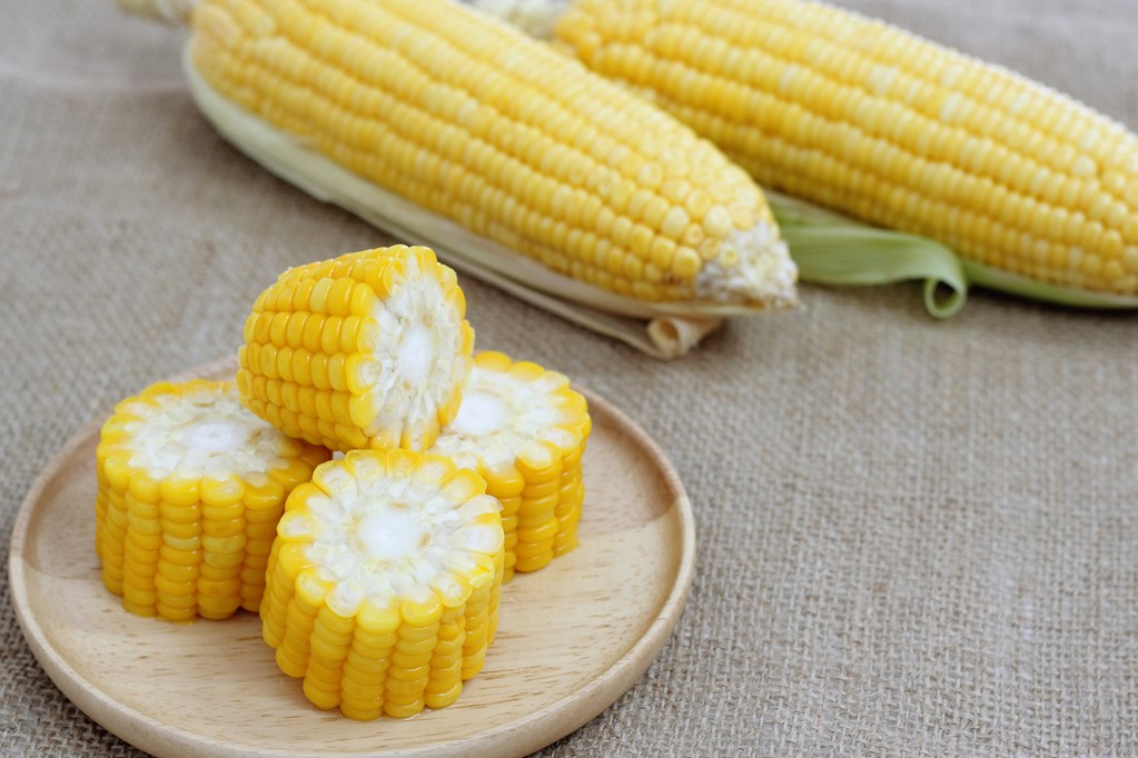 市场看涨情绪飙升 玉米短期或仍将维持强势运行