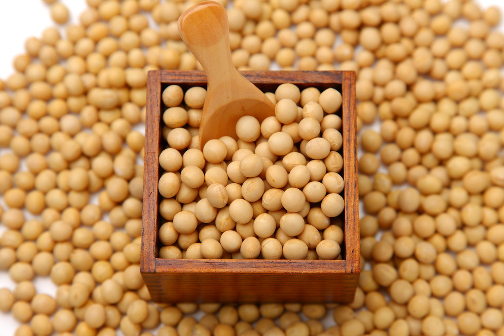 特朗普欢呼“中国买大豆” 真相却是巴西“留了个空”