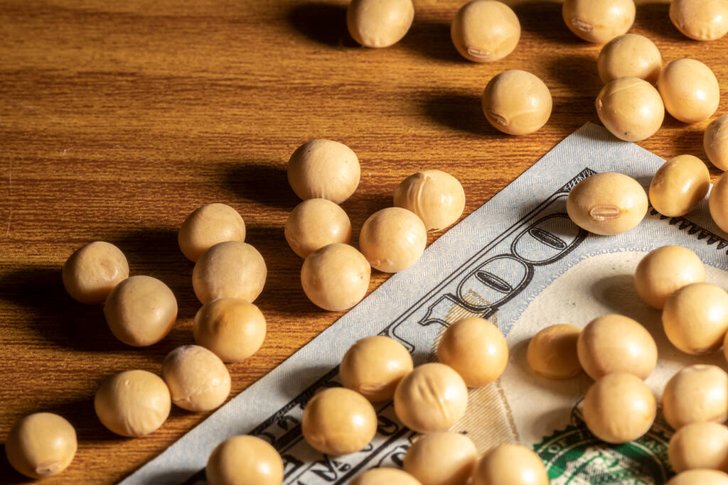 特朗普欢呼“中国买大豆” 真相却是巴西“留了个空”