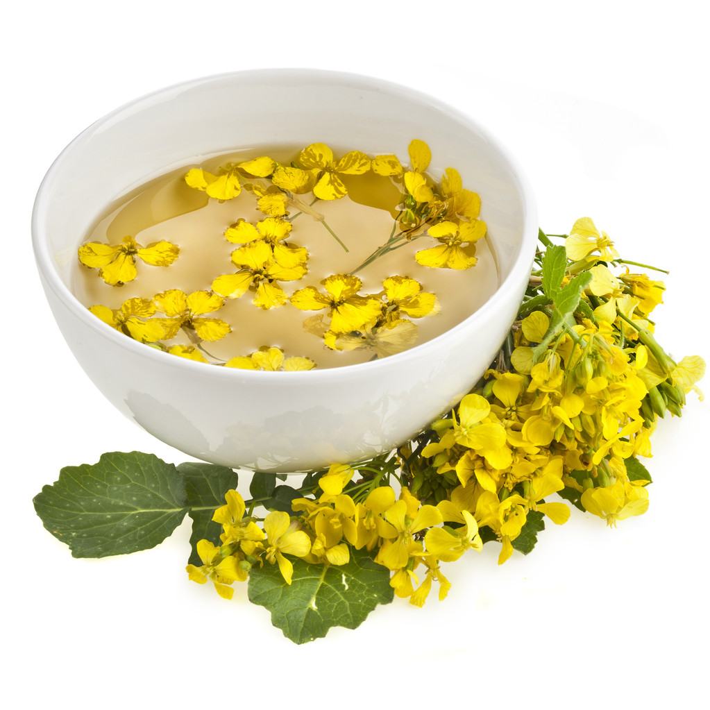 中加贸易改善 菜籽粕期价重心明显下调