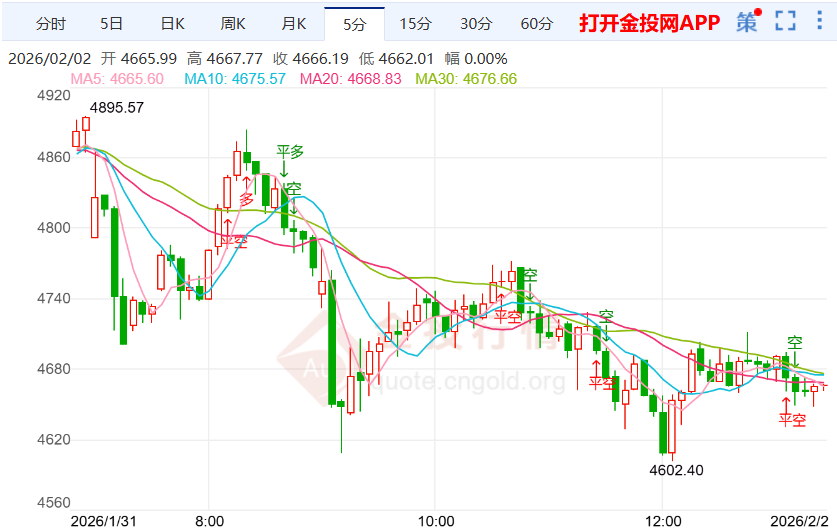 2026年2月2日黄金价格走势深度解析