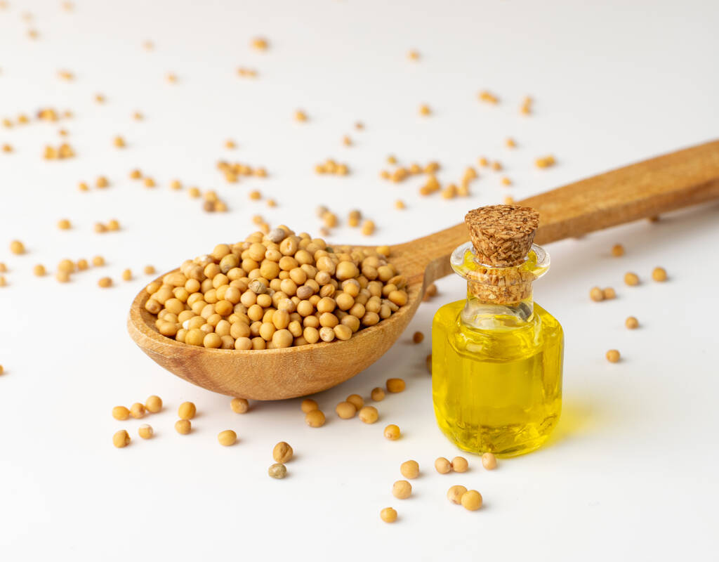 豆油产量仍较多 盘面上方空间受压制