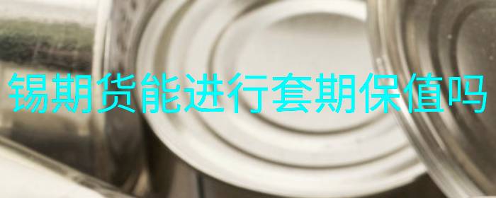 锡期货能进行套期保值吗