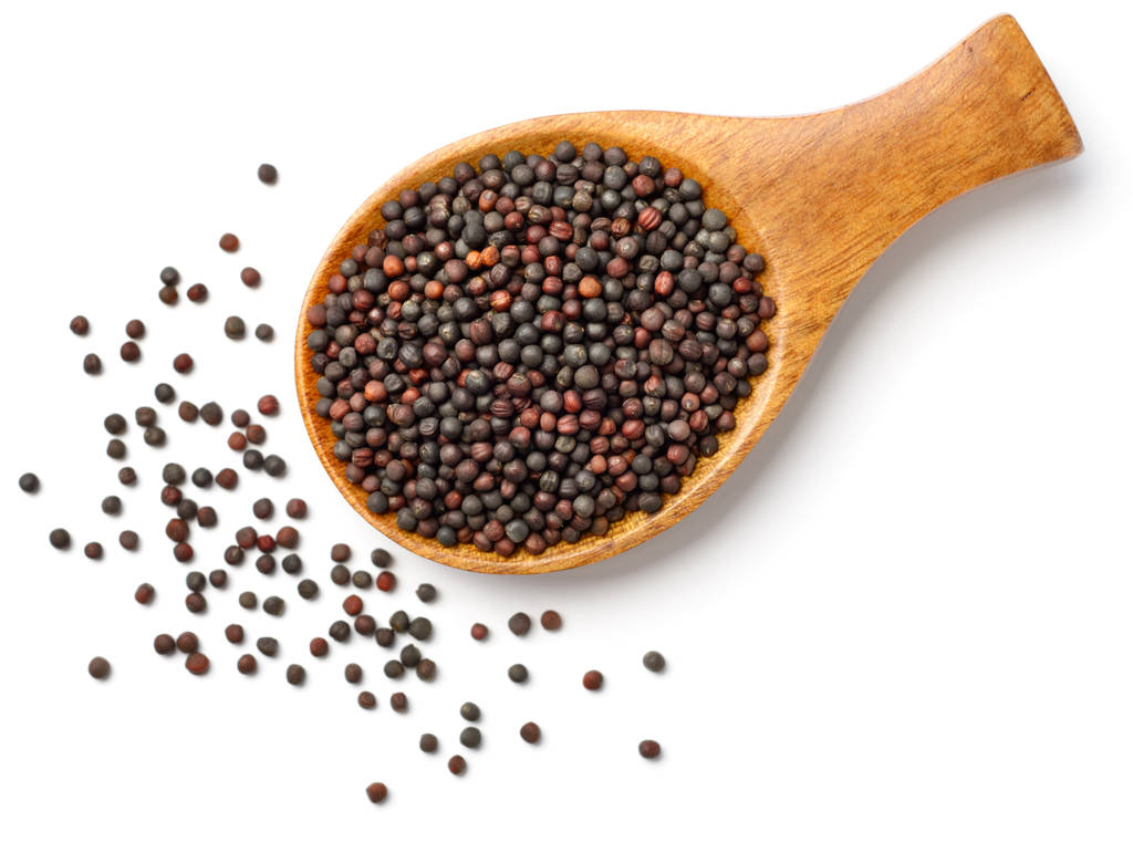 国内库存下降 预计菜籽粕短期内呈震荡偏强走势 (http://www.aodeek.com/) 期货 第1张