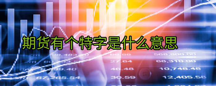期货有个特字是什么意思