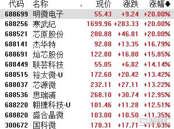 A股收评：科创50涨超5%！半导体板块大涨，寒武纪晋升A股股王