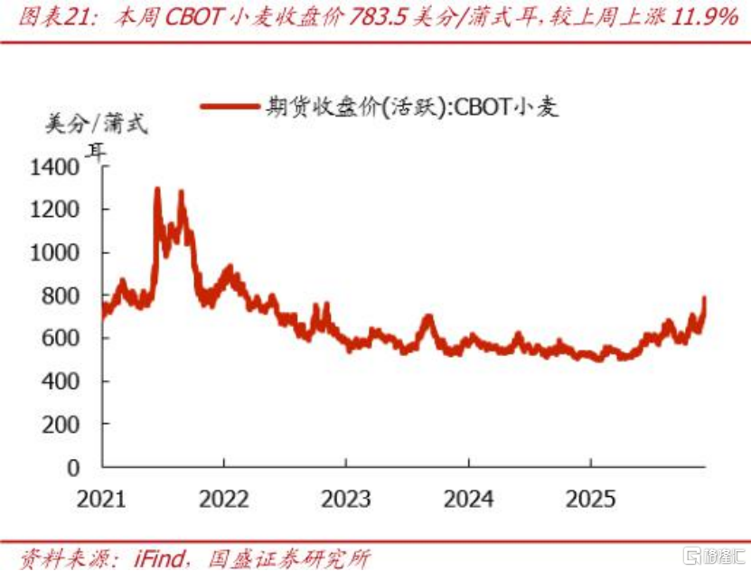 狂掀涨停潮！今年最强板块