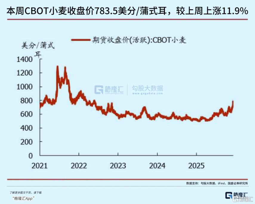 彻底爆了！超10股封板