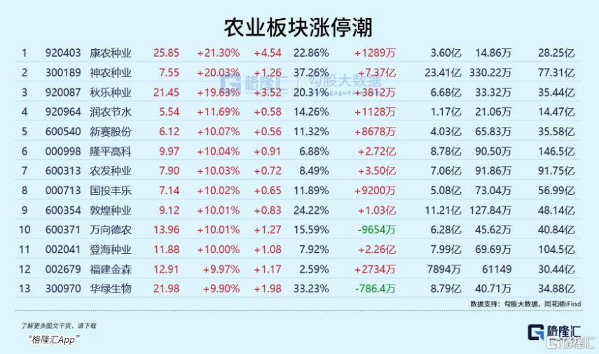 彻底爆了！超10股封板